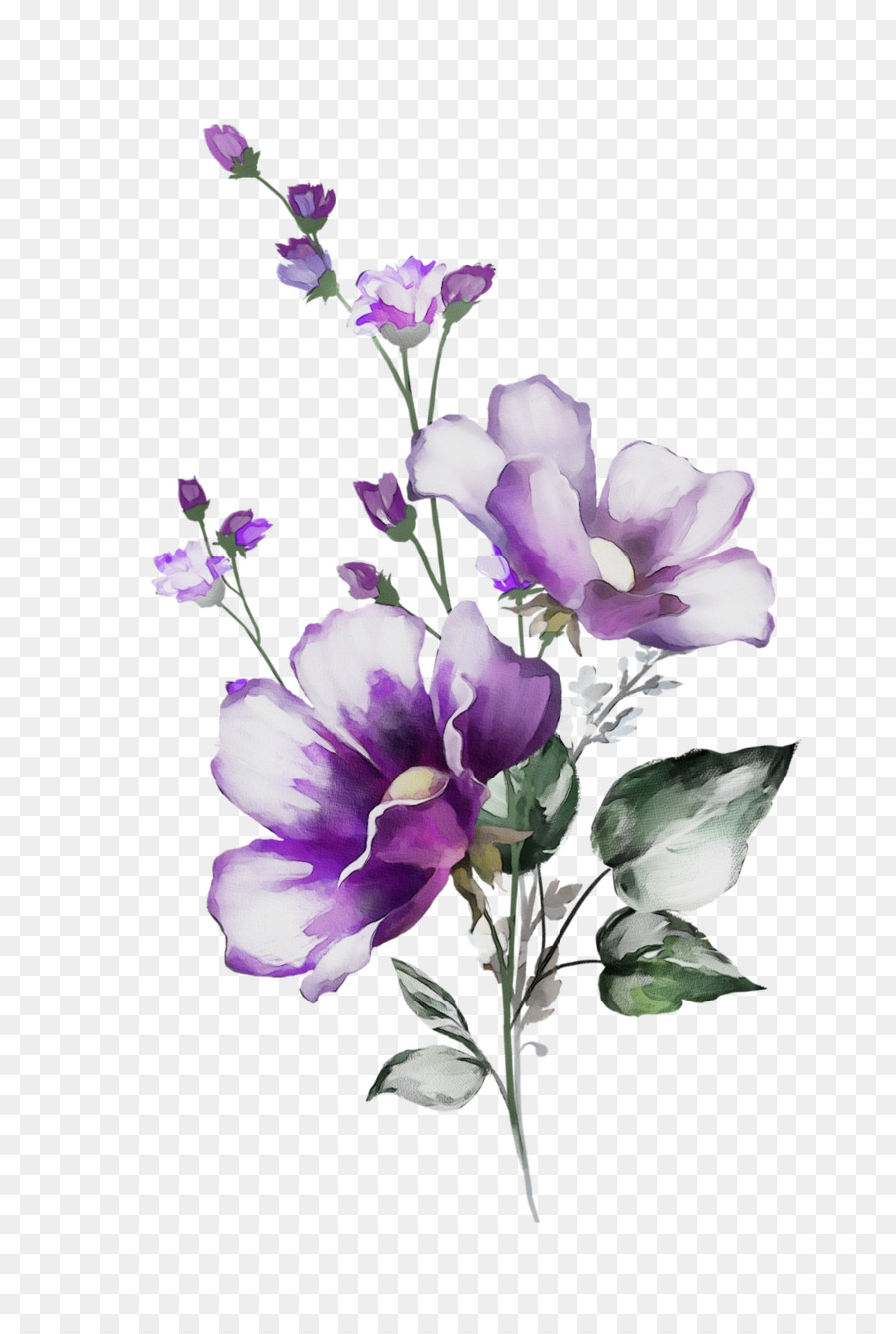 Tallo De La Planta，Diseño Floral PNG