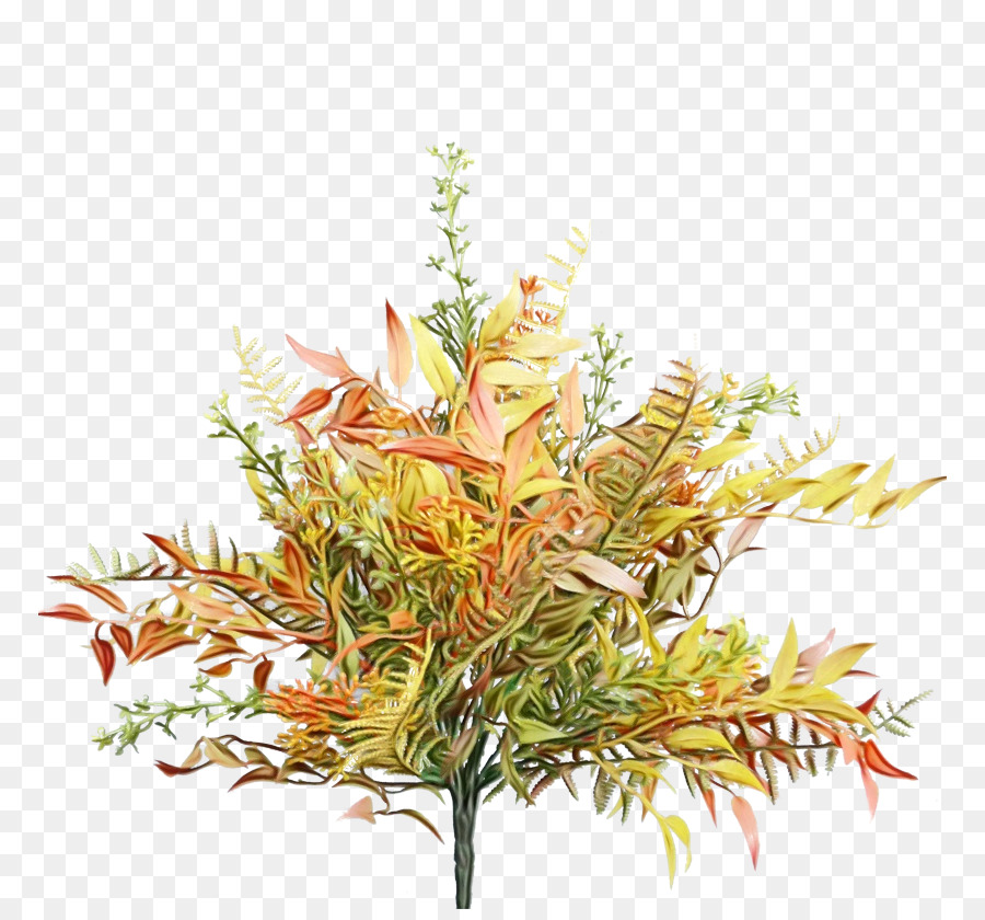 Diseño Floral，Hoja PNG