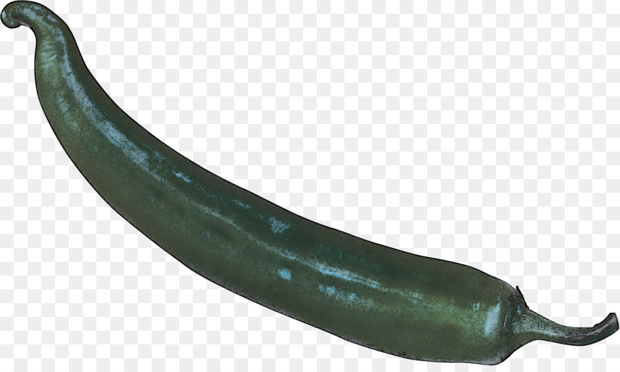 Pasilla，Chile Serrano PNG