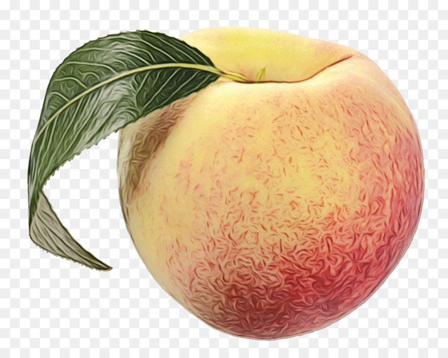 Melocotón，Apple PNG