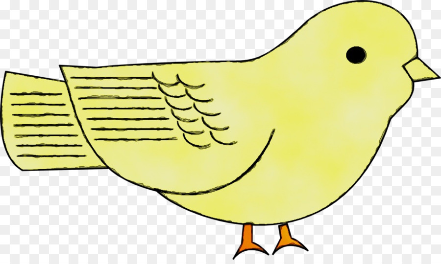 Aves，Pico PNG