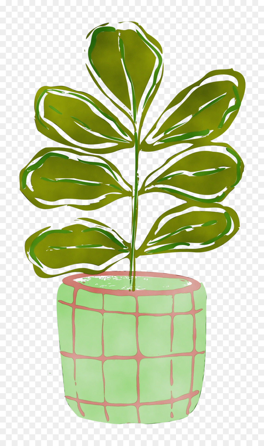 Flor，Dibujo PNG