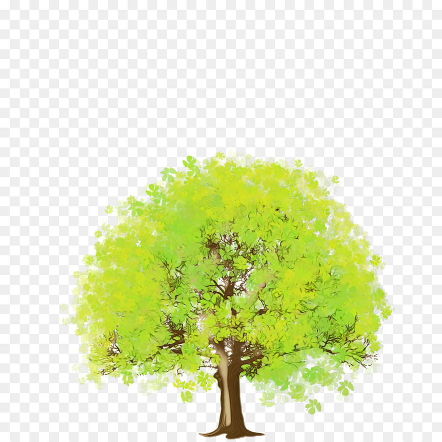 árbol Verde，Hojas PNG