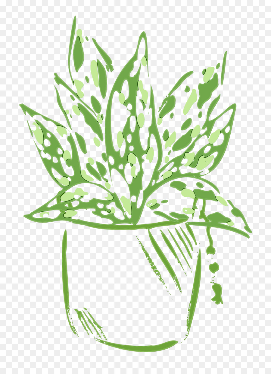 Tallo De La Planta，Flor PNG