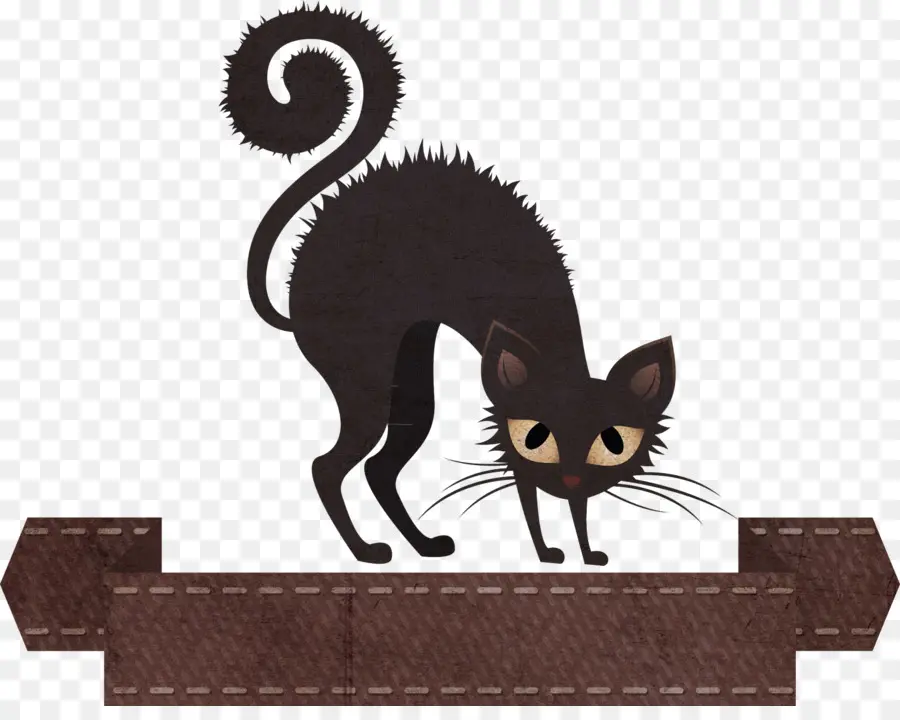 Gato，Gato Negro PNG