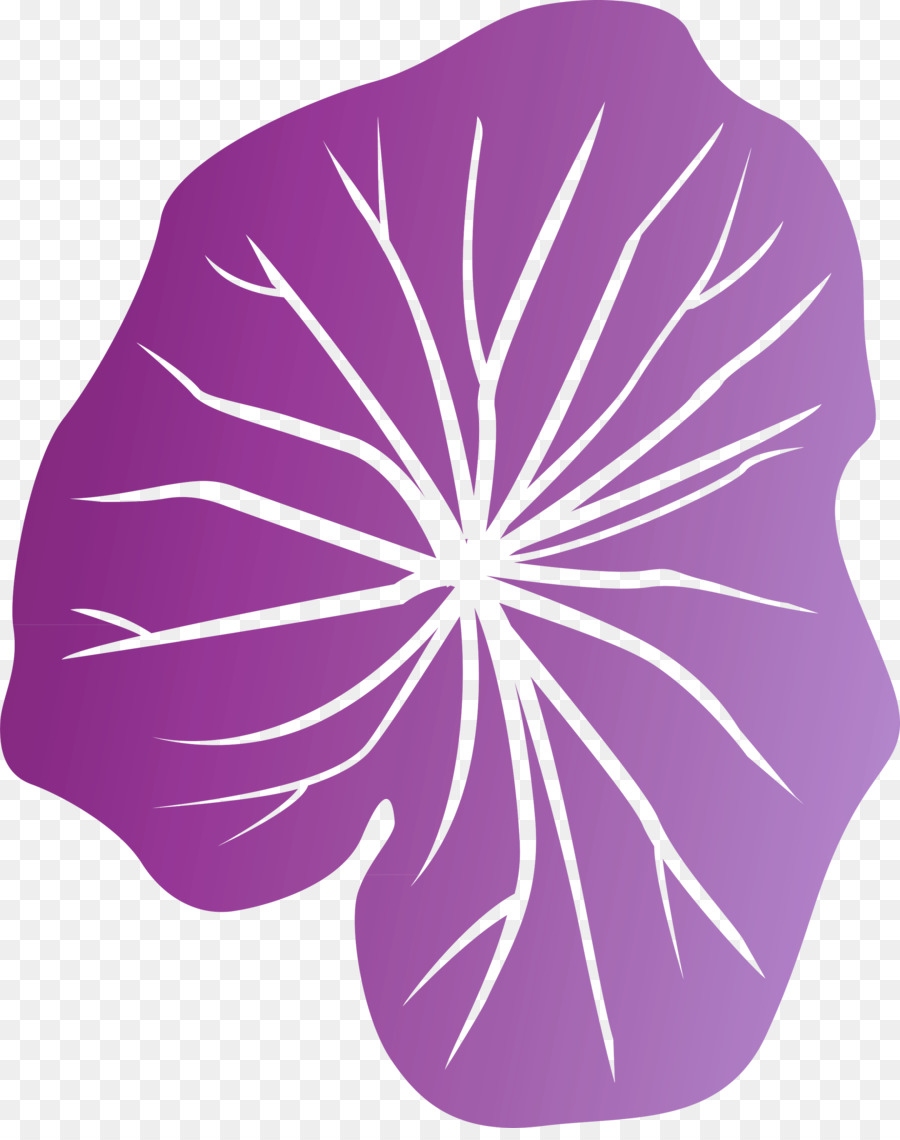 Flor，Violeta PNG