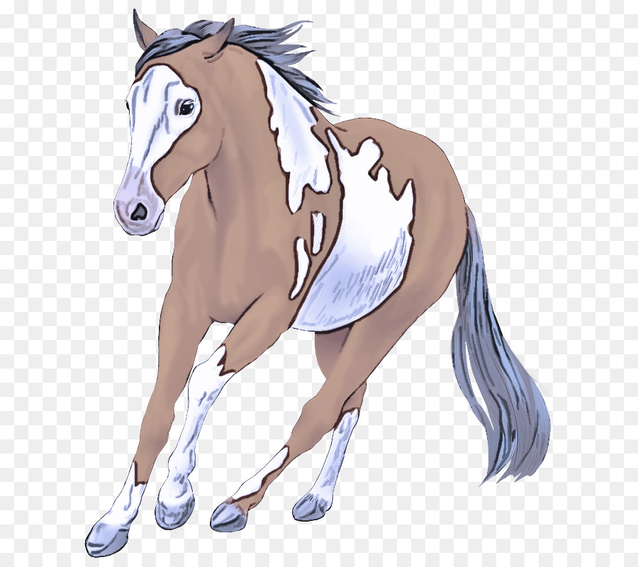 Caballo De Juguete，Caballo PNG