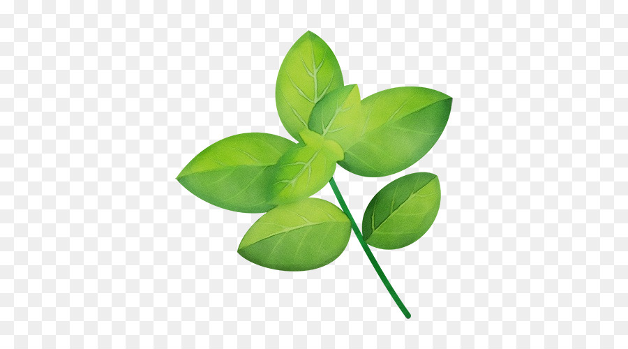 Hojas Verdes，Planta PNG