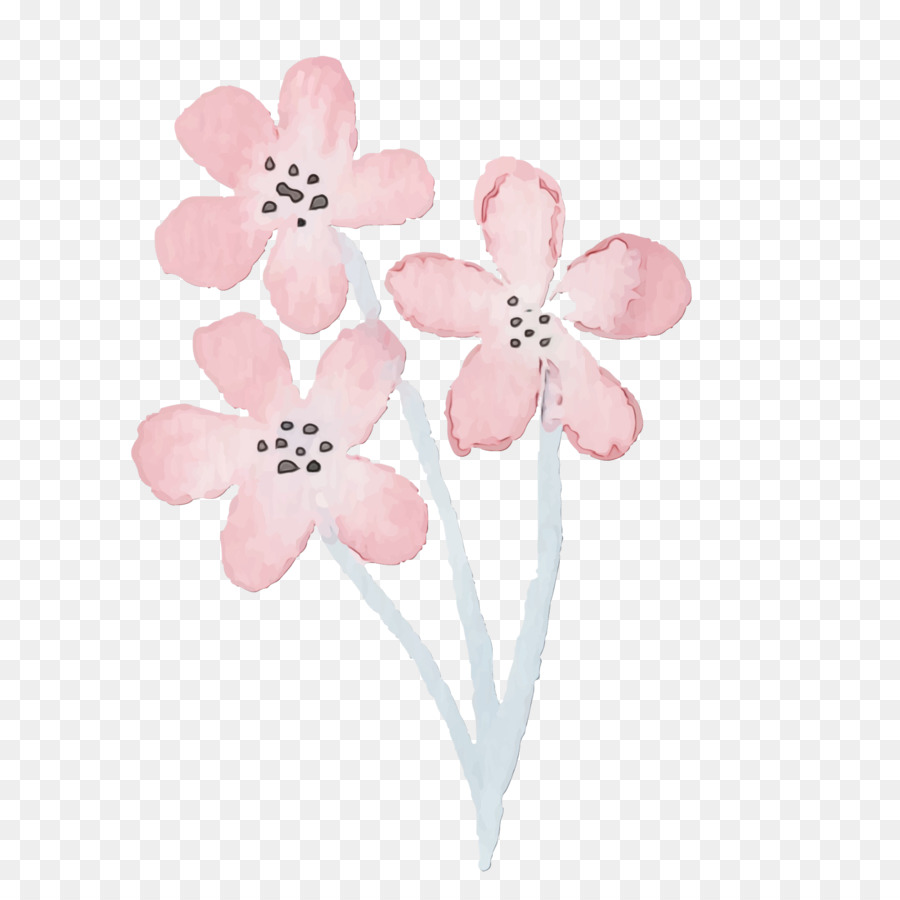 Las Flores Cortadas，Flor PNG