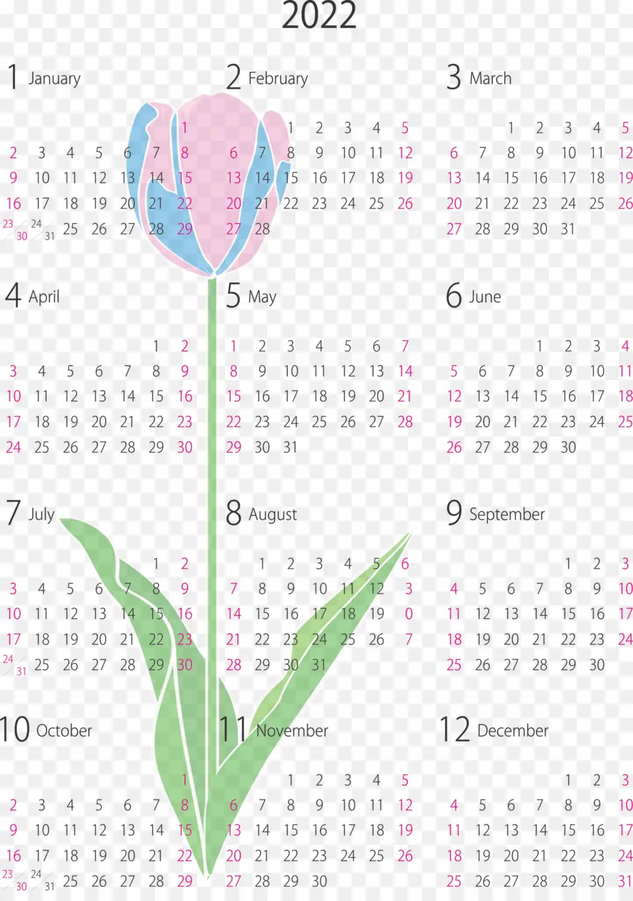 Sistema De Calendario，Papel Blanco PNG