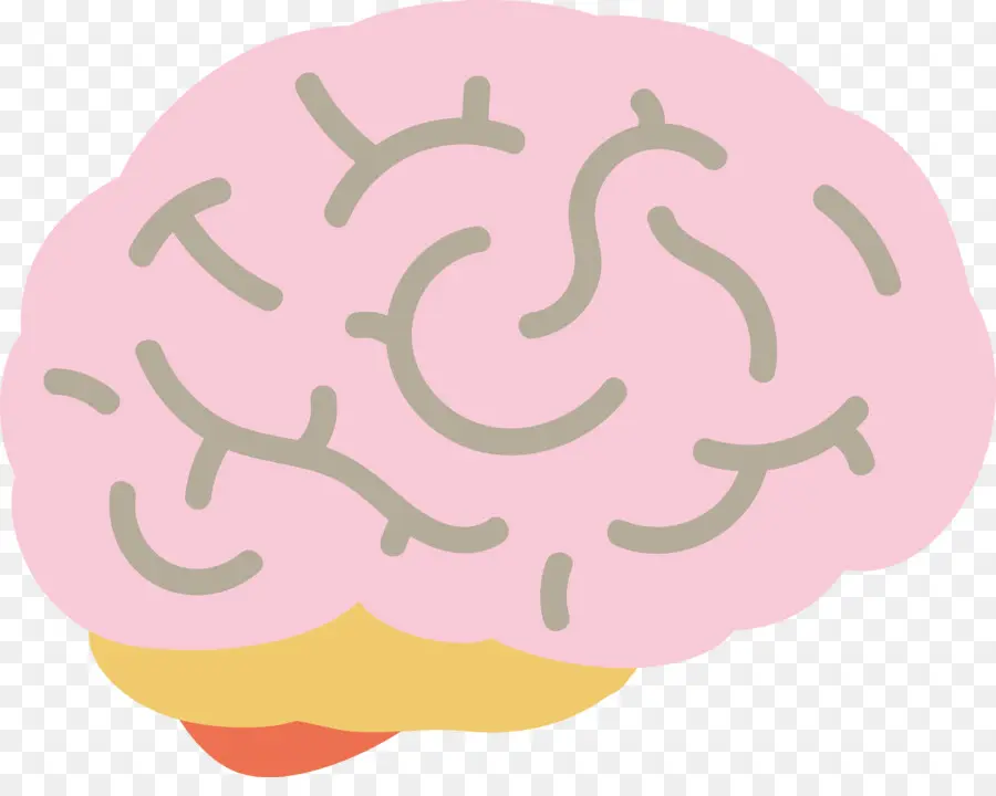 Cerebro，Dibujos Animados PNG