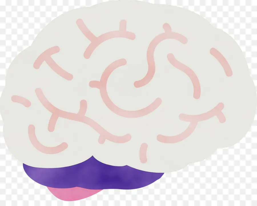 Cerebro，Mente PNG