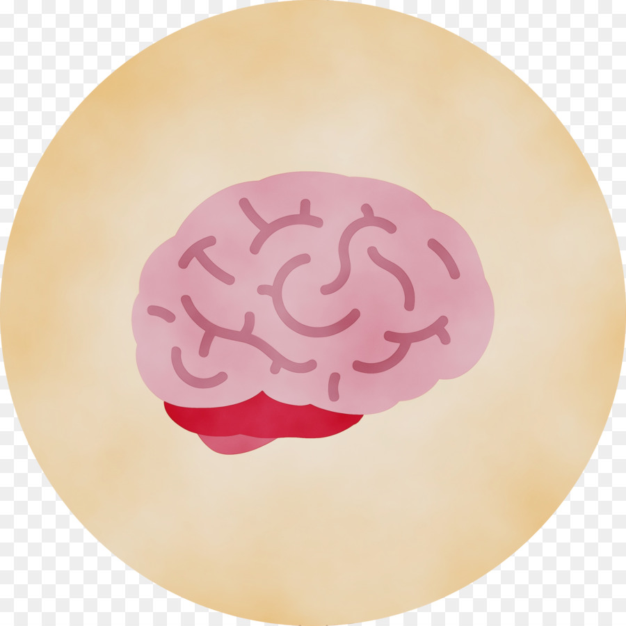 Cerebro，Mente PNG