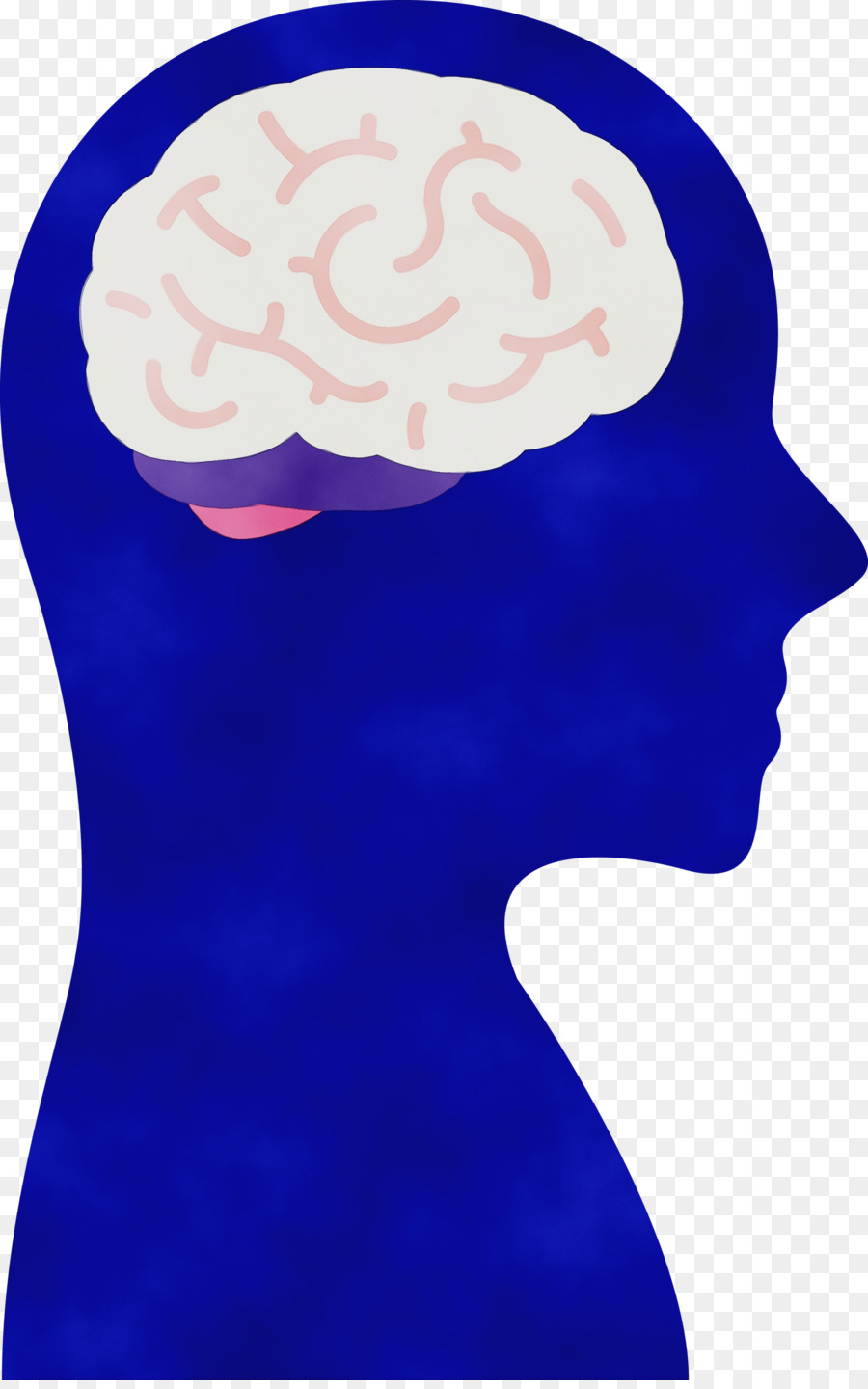 Cerebro，Neurólogo PNG
