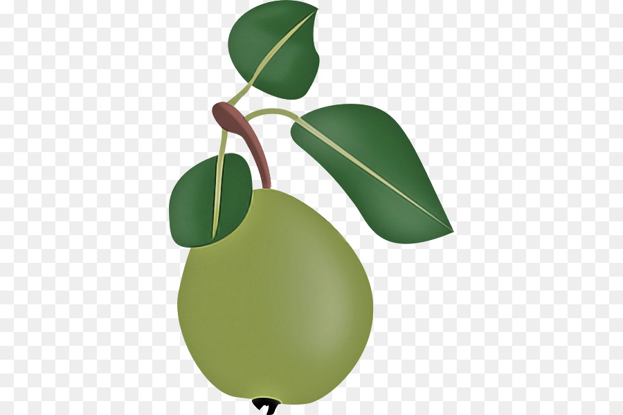 Hoja，La Fruta PNG