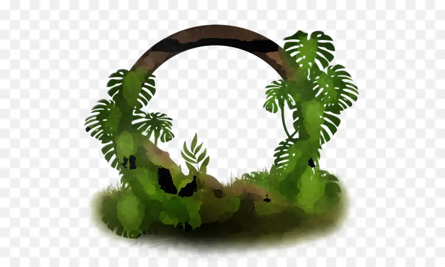 Marco De Imagen，Tropical Marco PNG