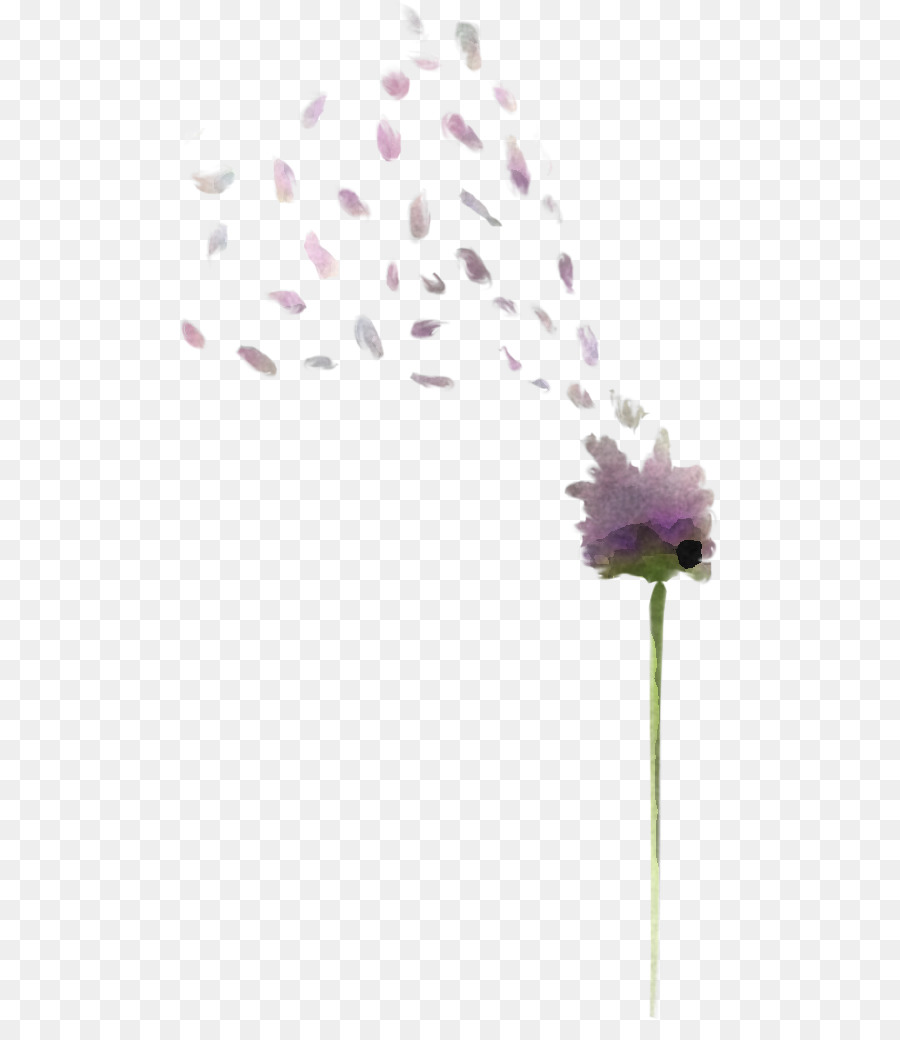 Tallo De La Planta，Lavanda PNG