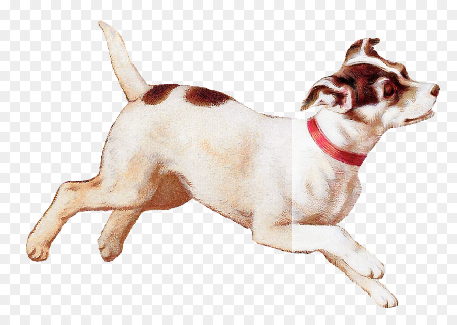 Perro，Cachorro PNG