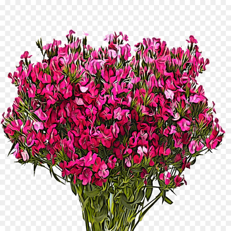 Diseño Floral，Planta Anual PNG