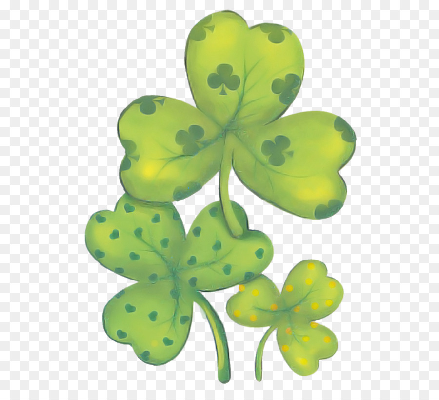 Shamrock，El Día De San Patricio PNG