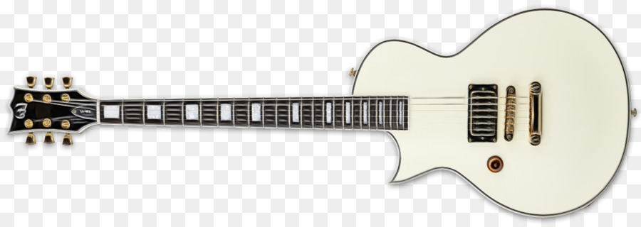 Guitarra Eléctrica，Evh Wolfwage Usa Edward Van Mantener La Firma PNG