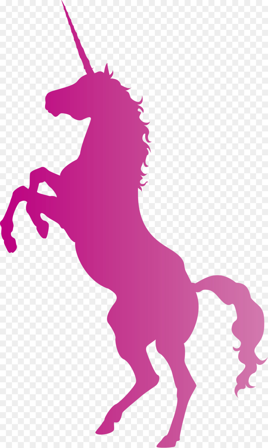 Caballo De Cuarto Americano，Semental PNG