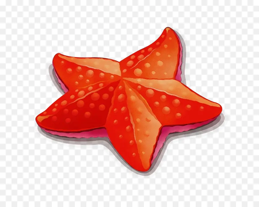 Estrella De Mar， PNG