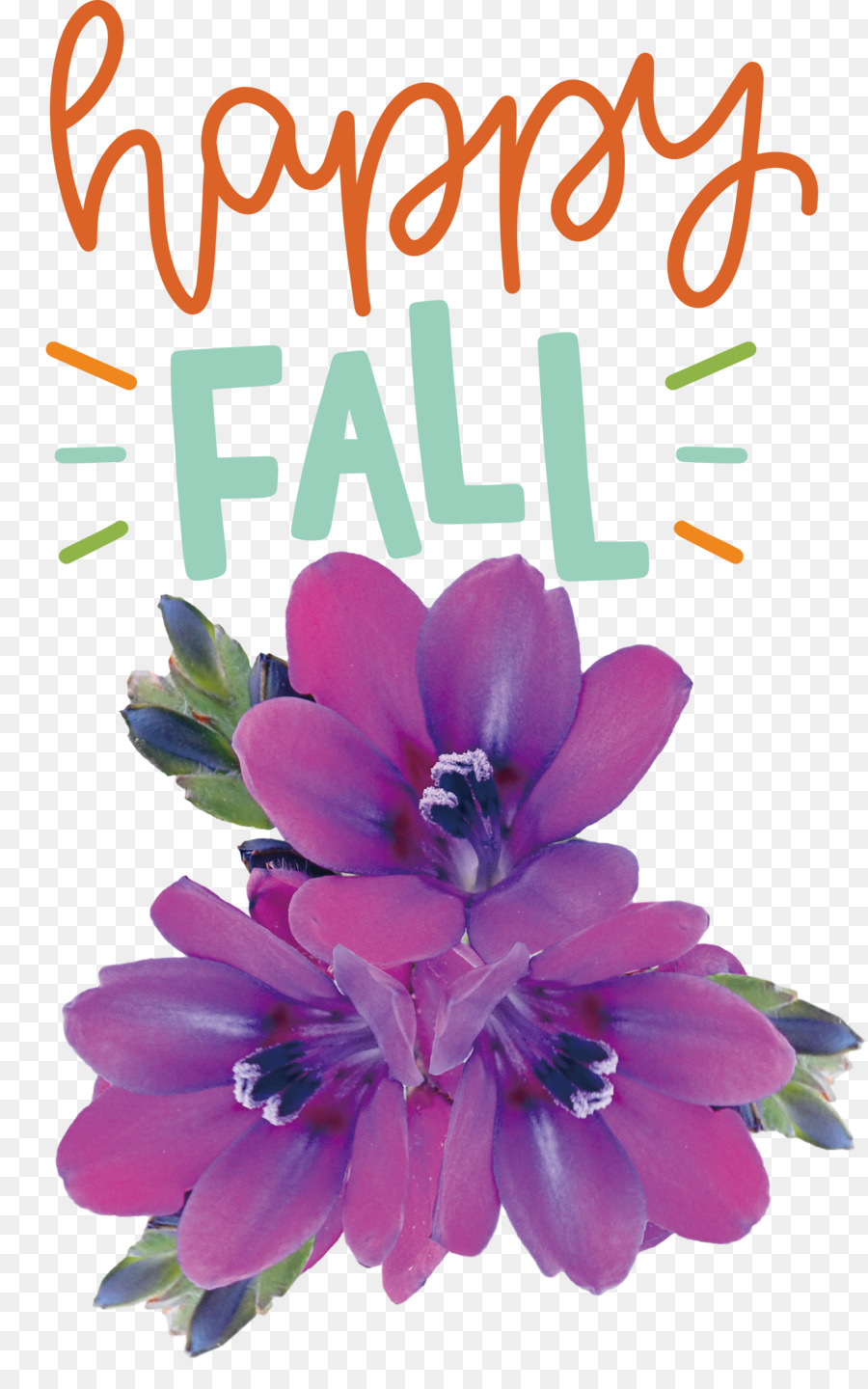 Violeta，Flor PNG