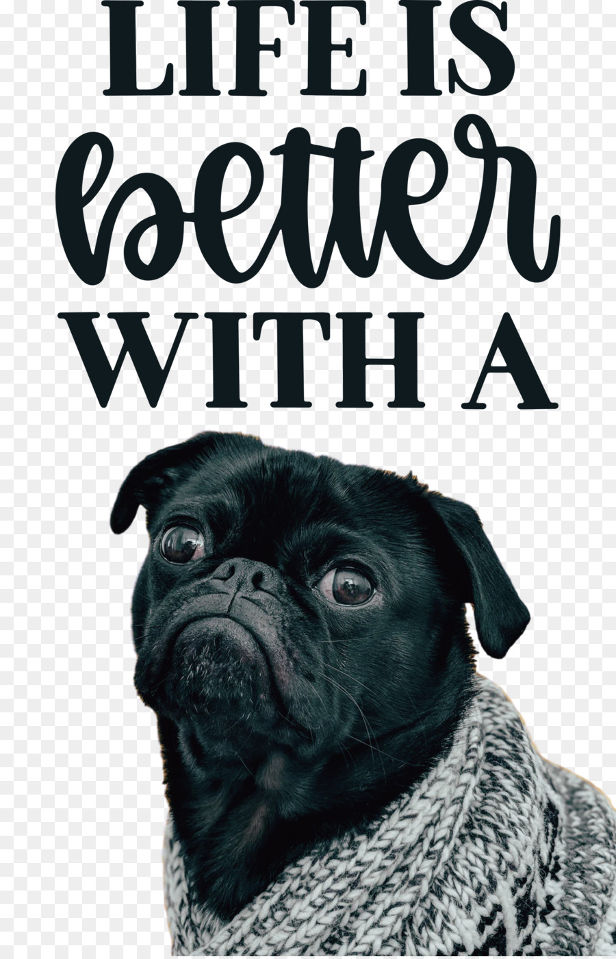 Pug，Cachorro PNG