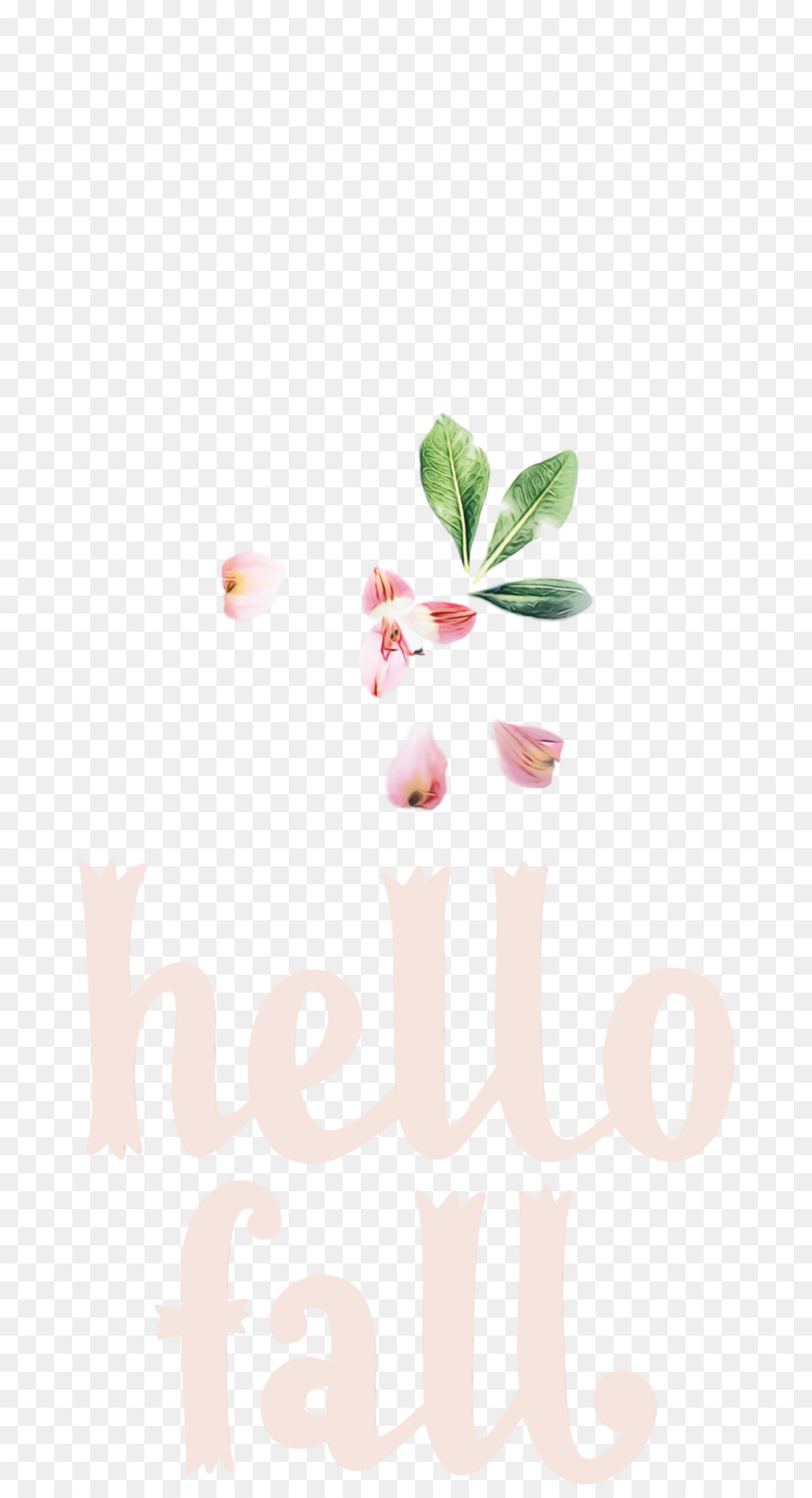 Diseño Floral，Flor PNG