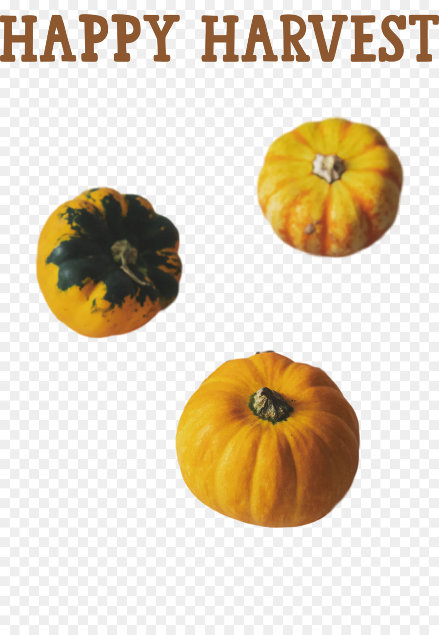 La Calabaza，Calabaza De Invierno PNG