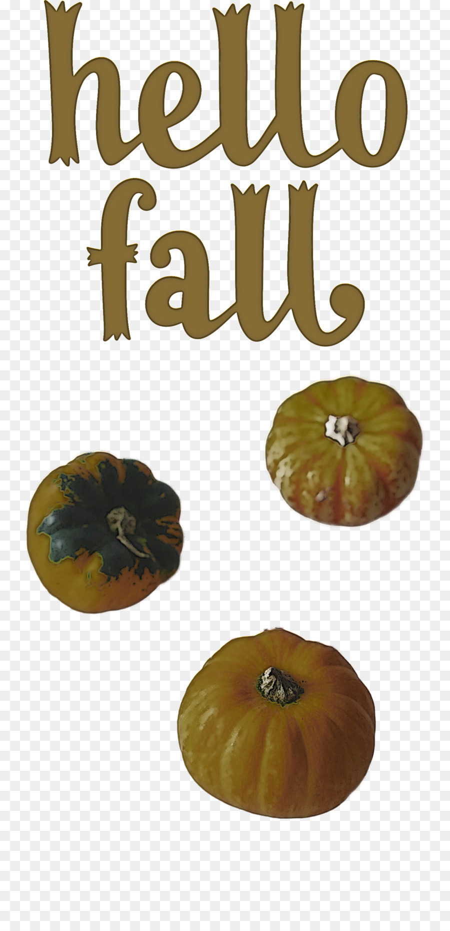 Calabazas Blancas，Caer PNG