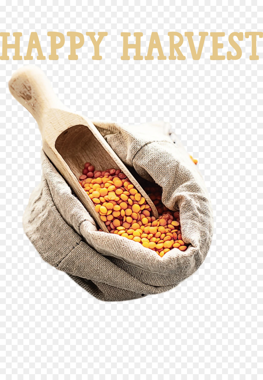 Dal，Lentejas PNG