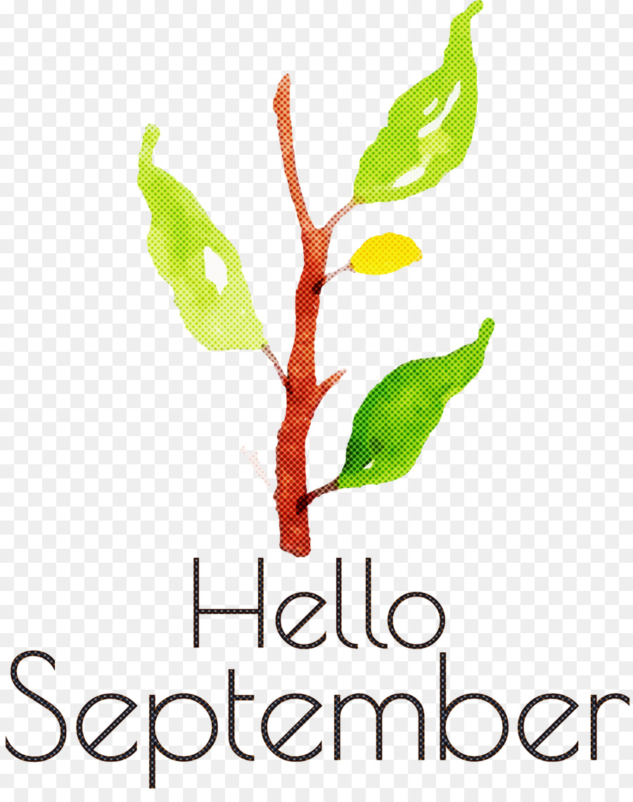 Hola Septiembre，Otoño PNG