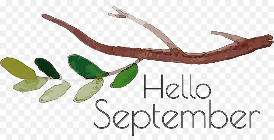 Hola Septiembre，Rama PNG