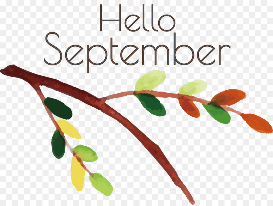 Hola Septiembre，Otoño PNG