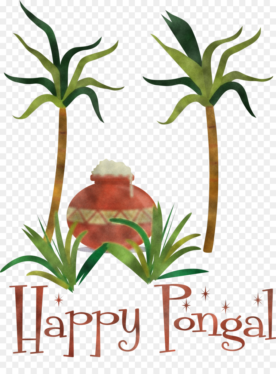 Flor，Pongal PNG