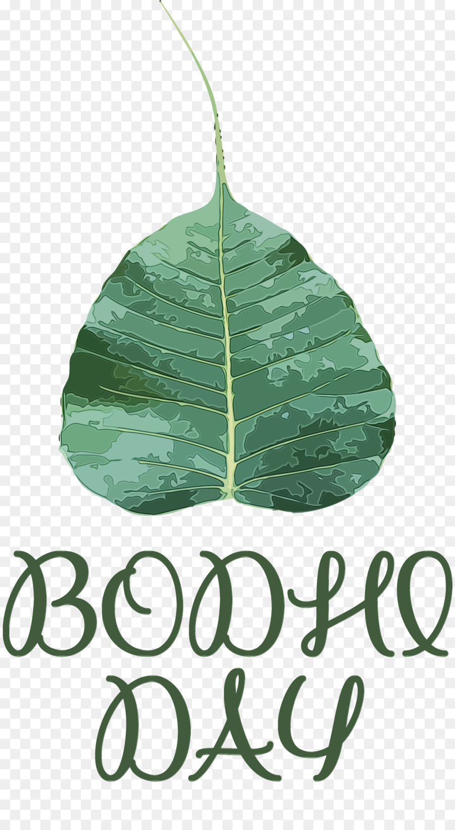 Hoja，Verde PNG