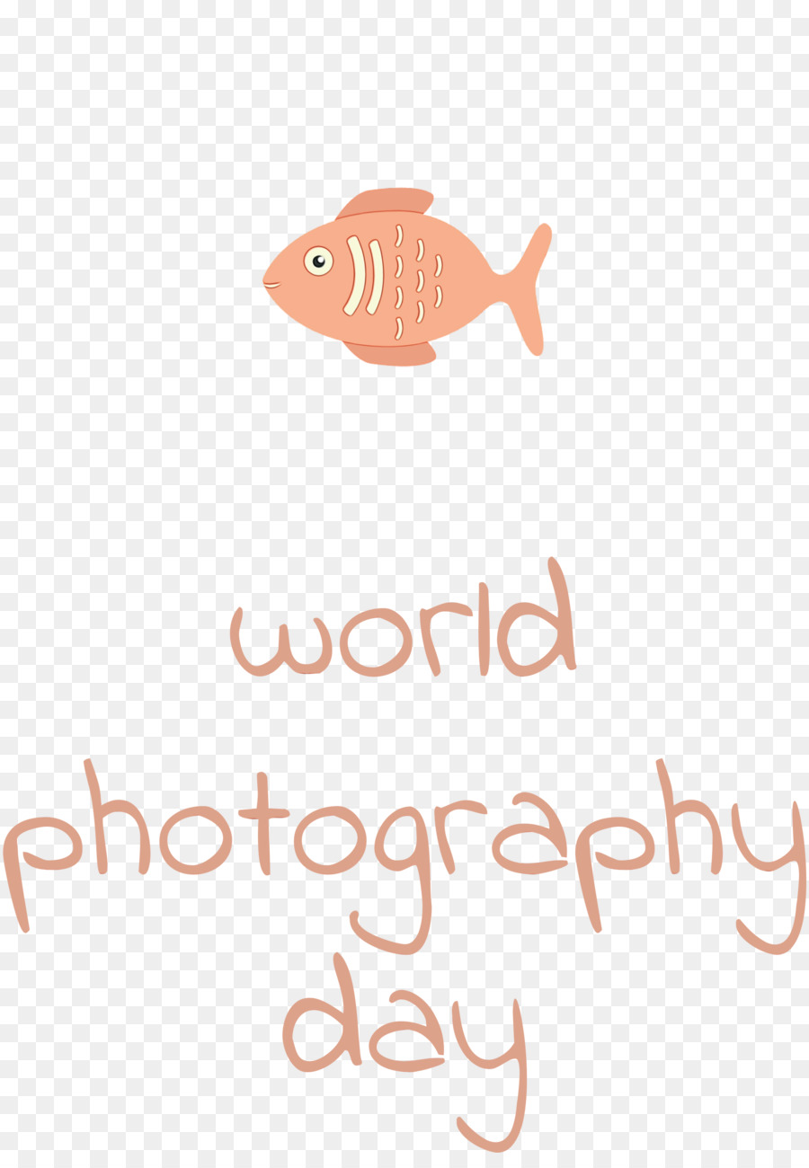 Día Mundial De La Fotografía，Fotografía PNG