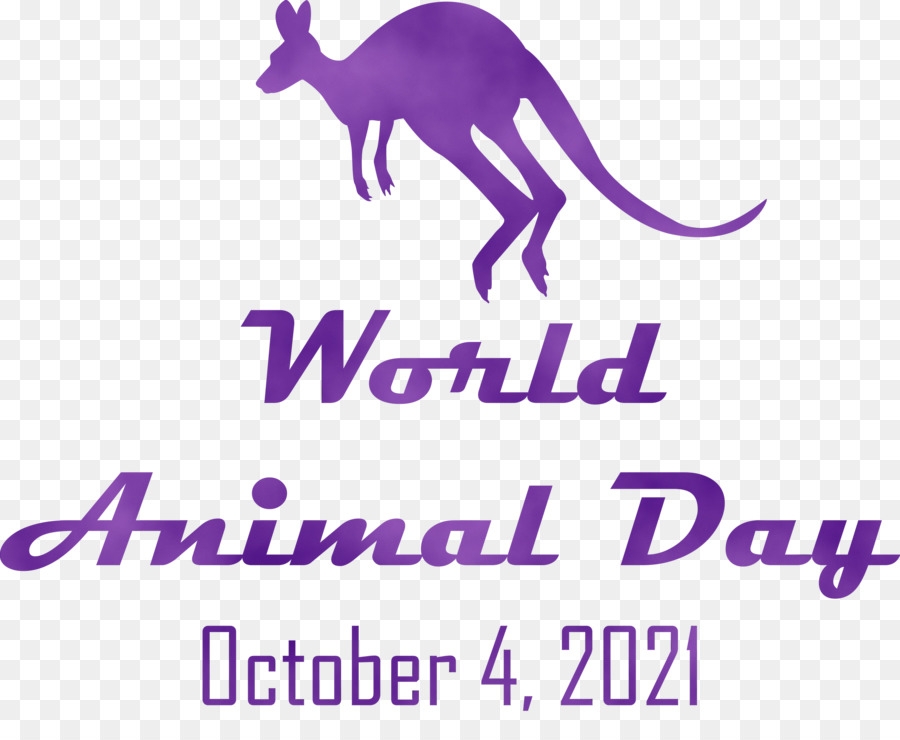 Canguro，Día Mundial De Los Animales PNG