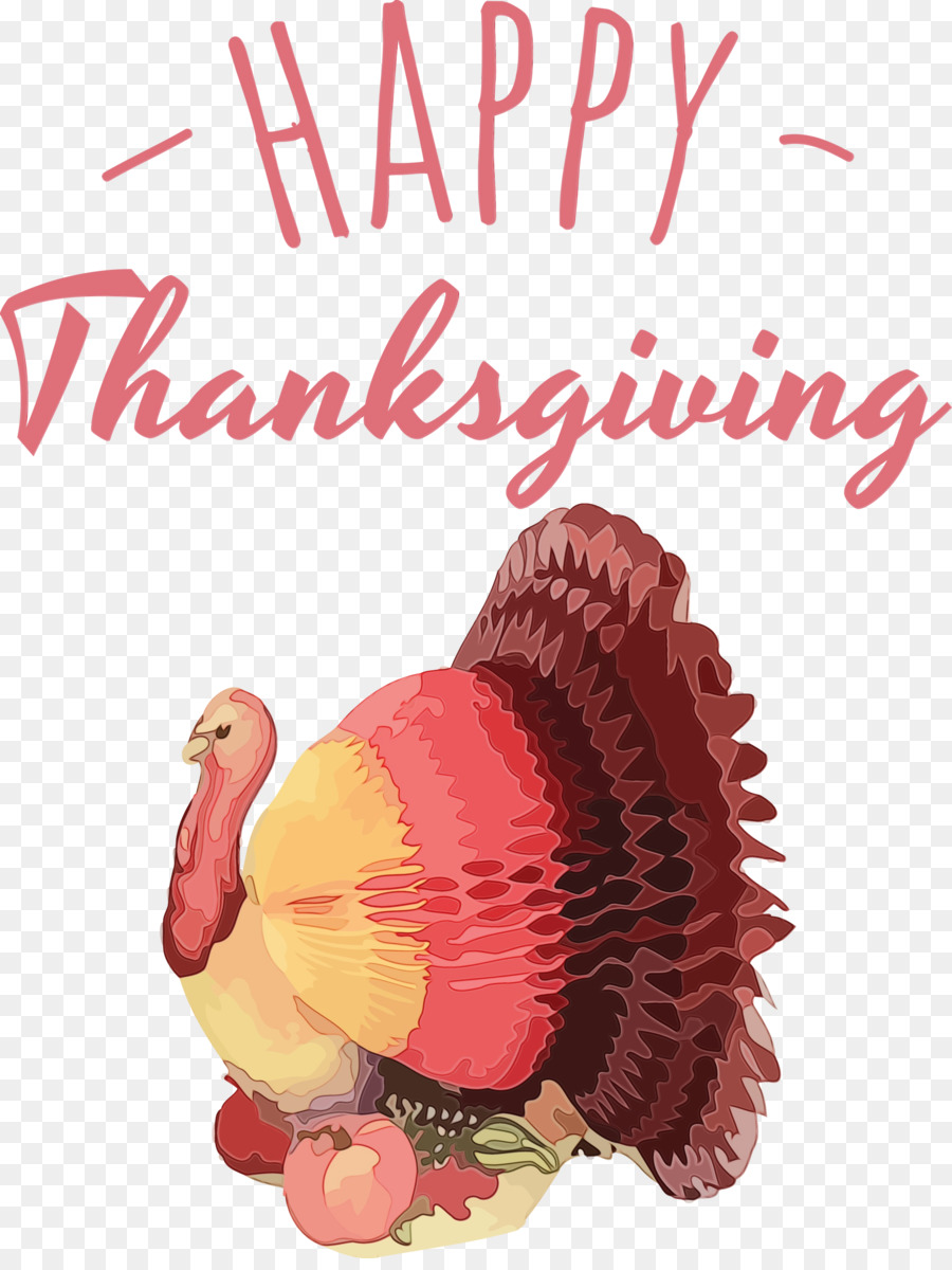 Feliz Acción De Gracias，Pavo PNG