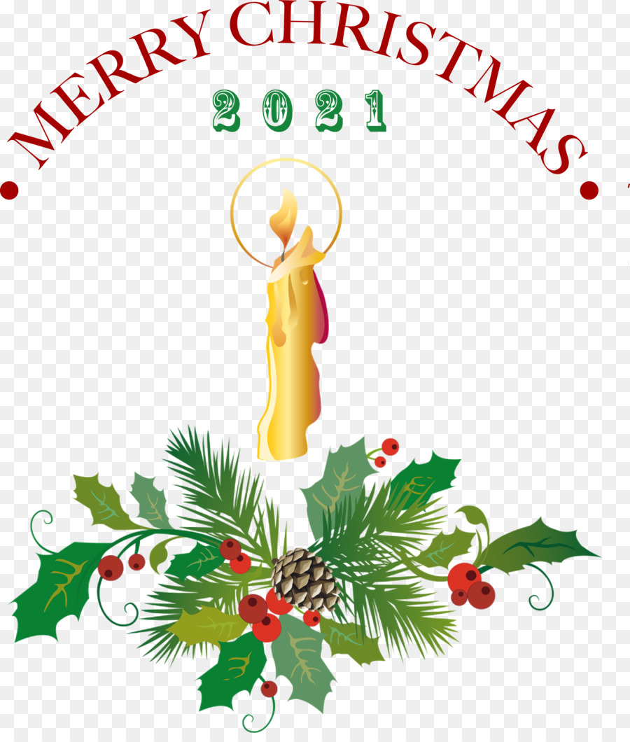 La Señora Claus，Christmas Day PNG