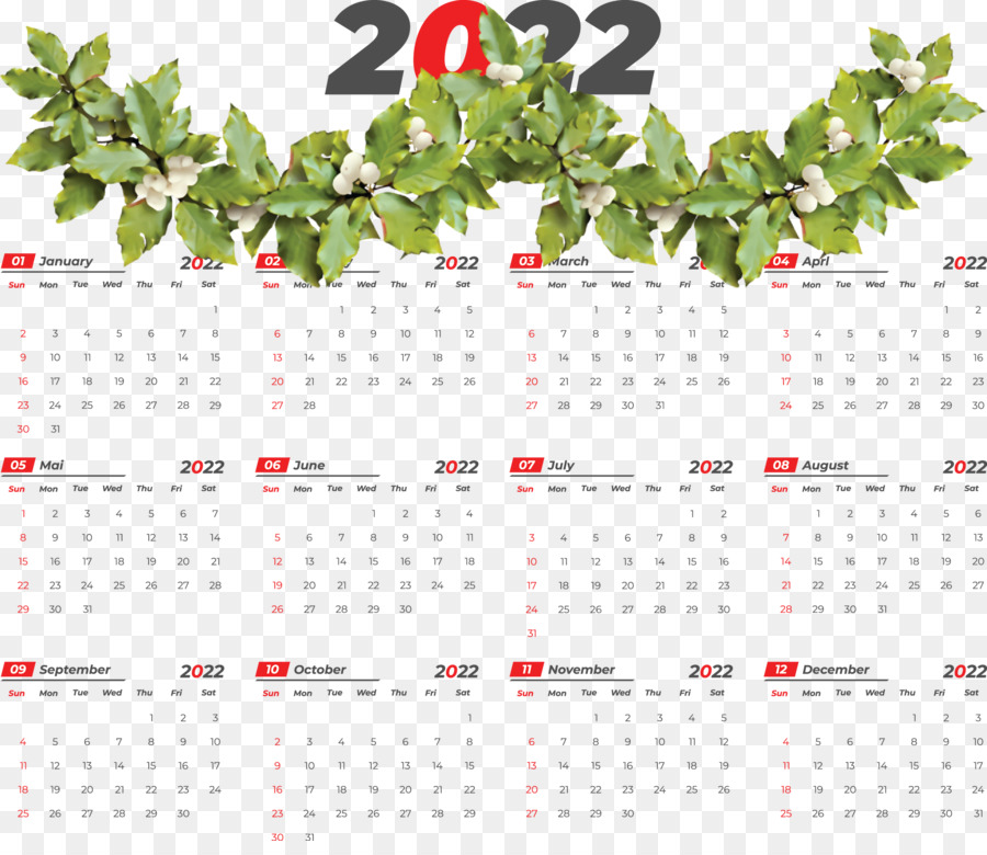 Flor，Año Nuevo 2022 PNG