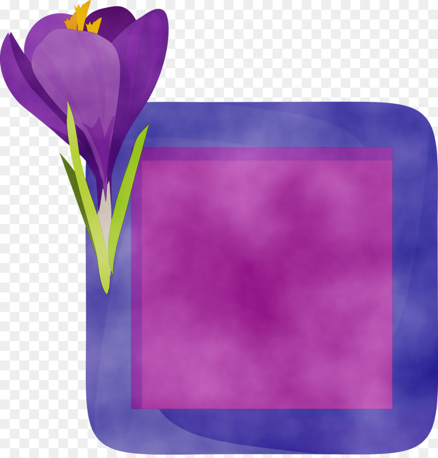 Flor，Tulip PNG