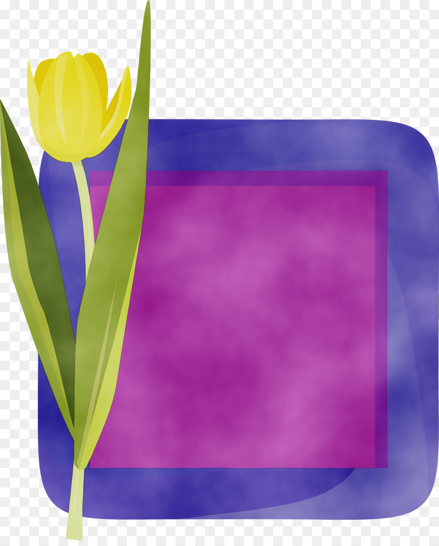 Tulip，Flor PNG