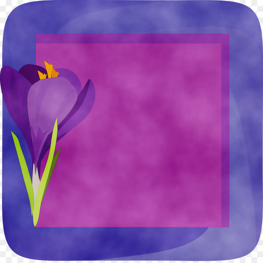 Flor，Crocus PNG