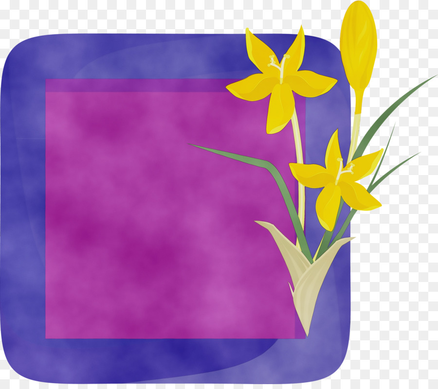 Flor，Violeta PNG