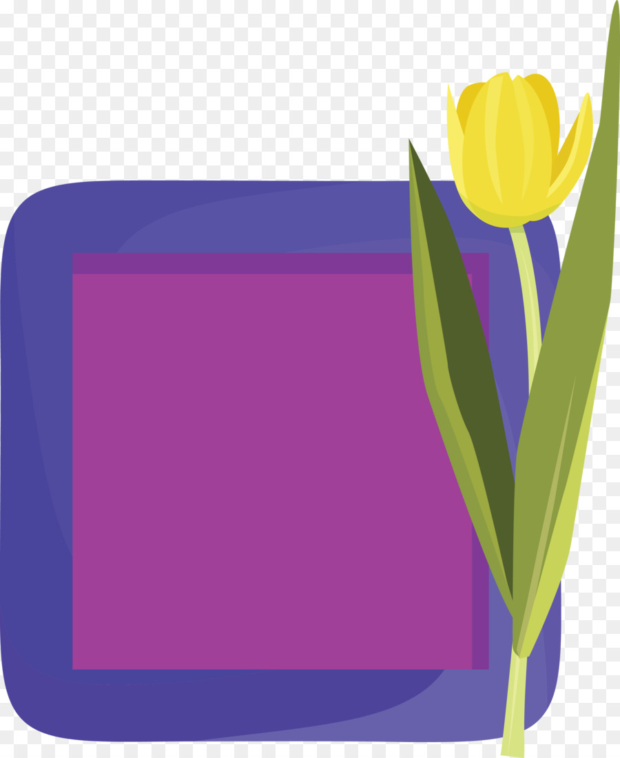 Flor，Amarillo PNG