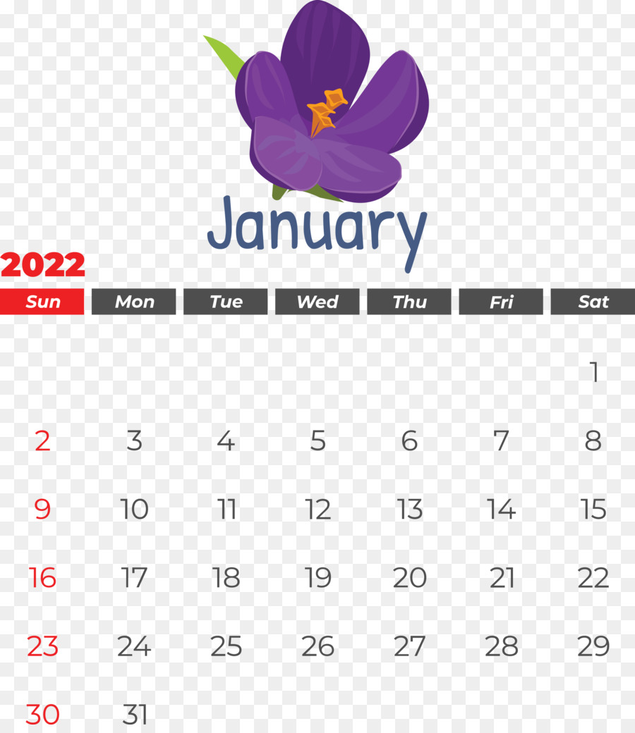 Calendario De Enero，Mes PNG