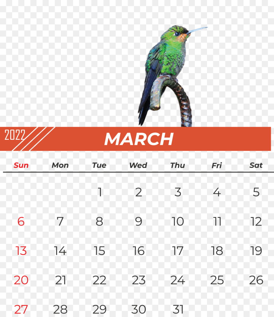 Aves，Calendario PNG